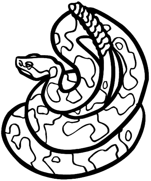 Coiled rattlesnake vinyl sticker. Customize on line.       Animals Insects Fish 004-1261  